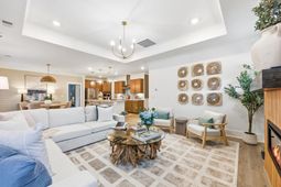 4313 Collins Farm Way  photo 4