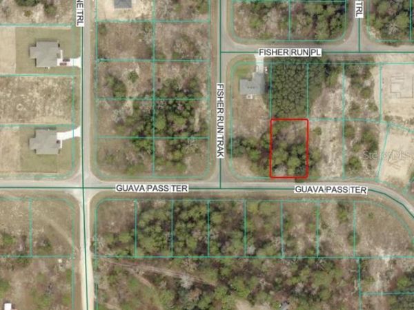 GUAVA PASS TERRACE , OCKLAWAHA, FL 32179