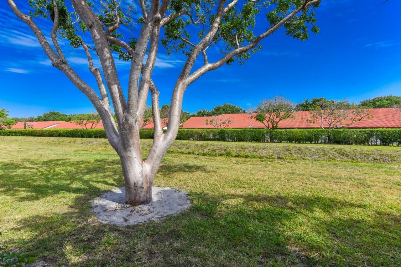 8109 Whispering Palm Drive, Boca Raton, FL 33496 Photo