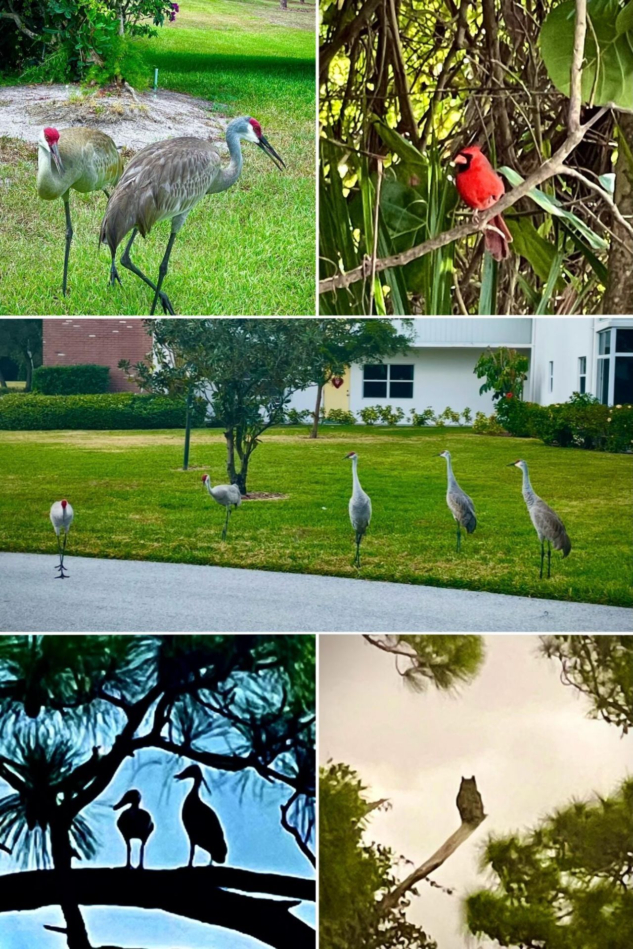 1225 NW 21st Street, Unit 1615, Stuart, FL 34994 Photo