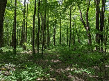 17 Old Homestead, Kent, CT 06757