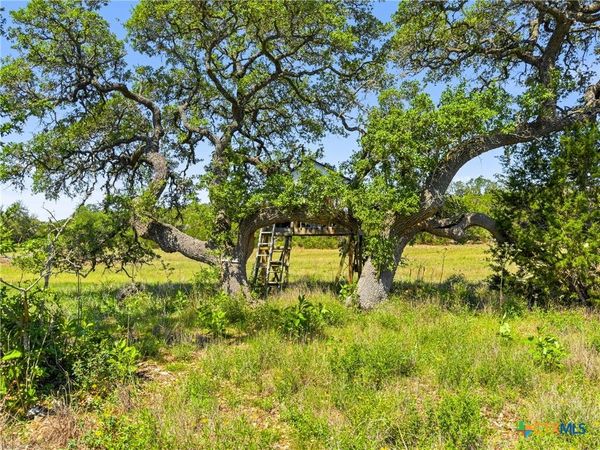 163 N Stallion Estates Drive, Spring Branch, TX 78070
