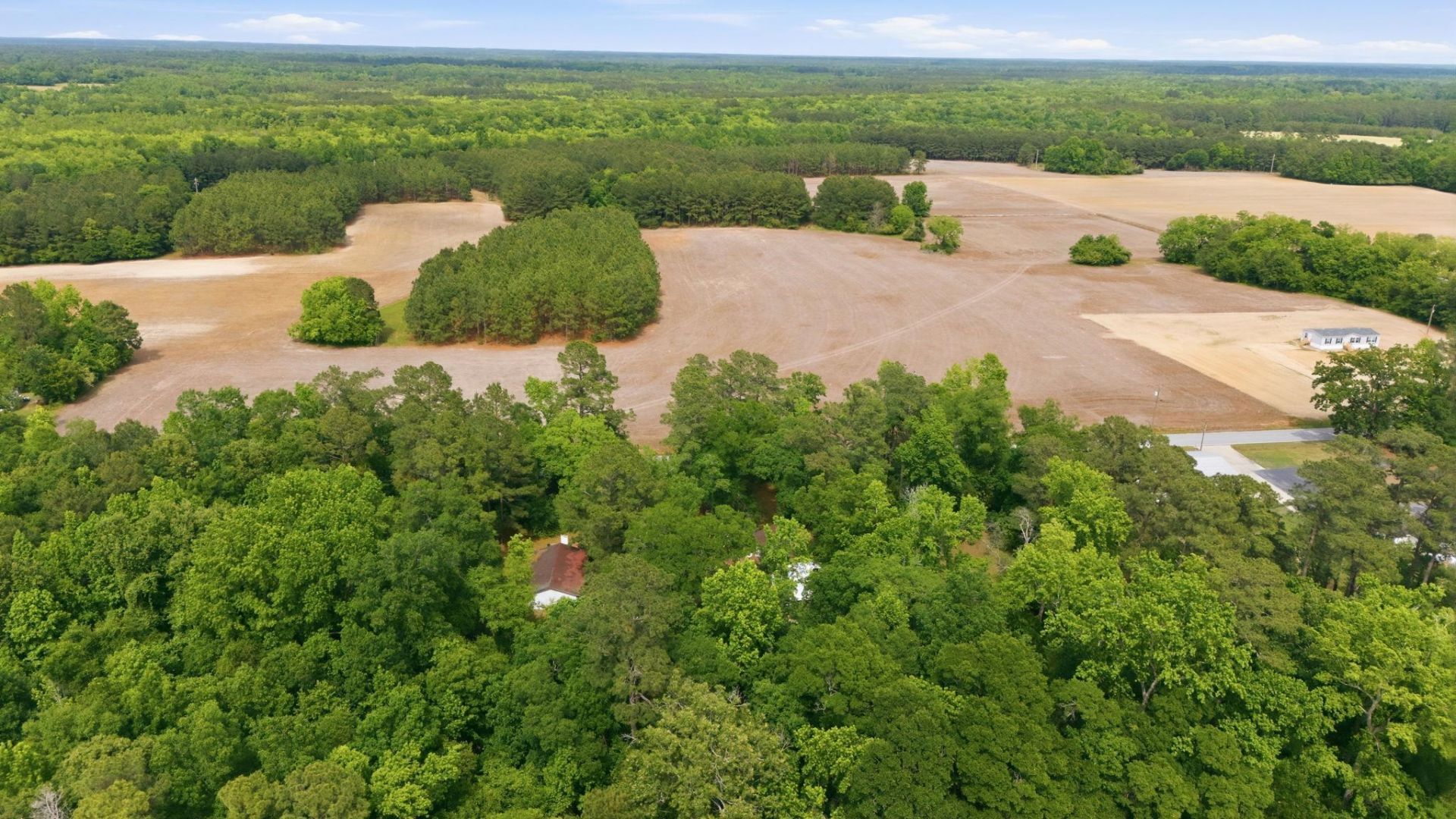 5347 Hoyt Rogers Rd  Photo 47