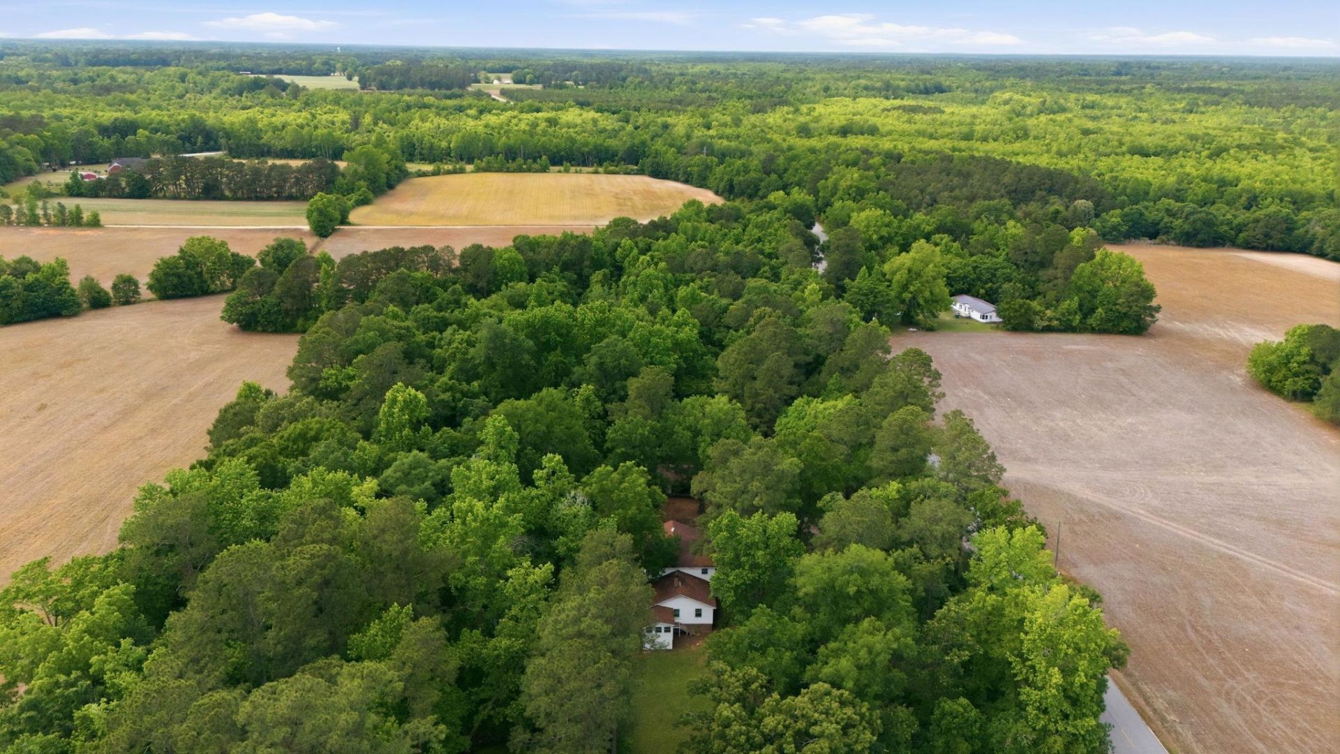 5347 Hoyt Rogers Rd  Photo 49