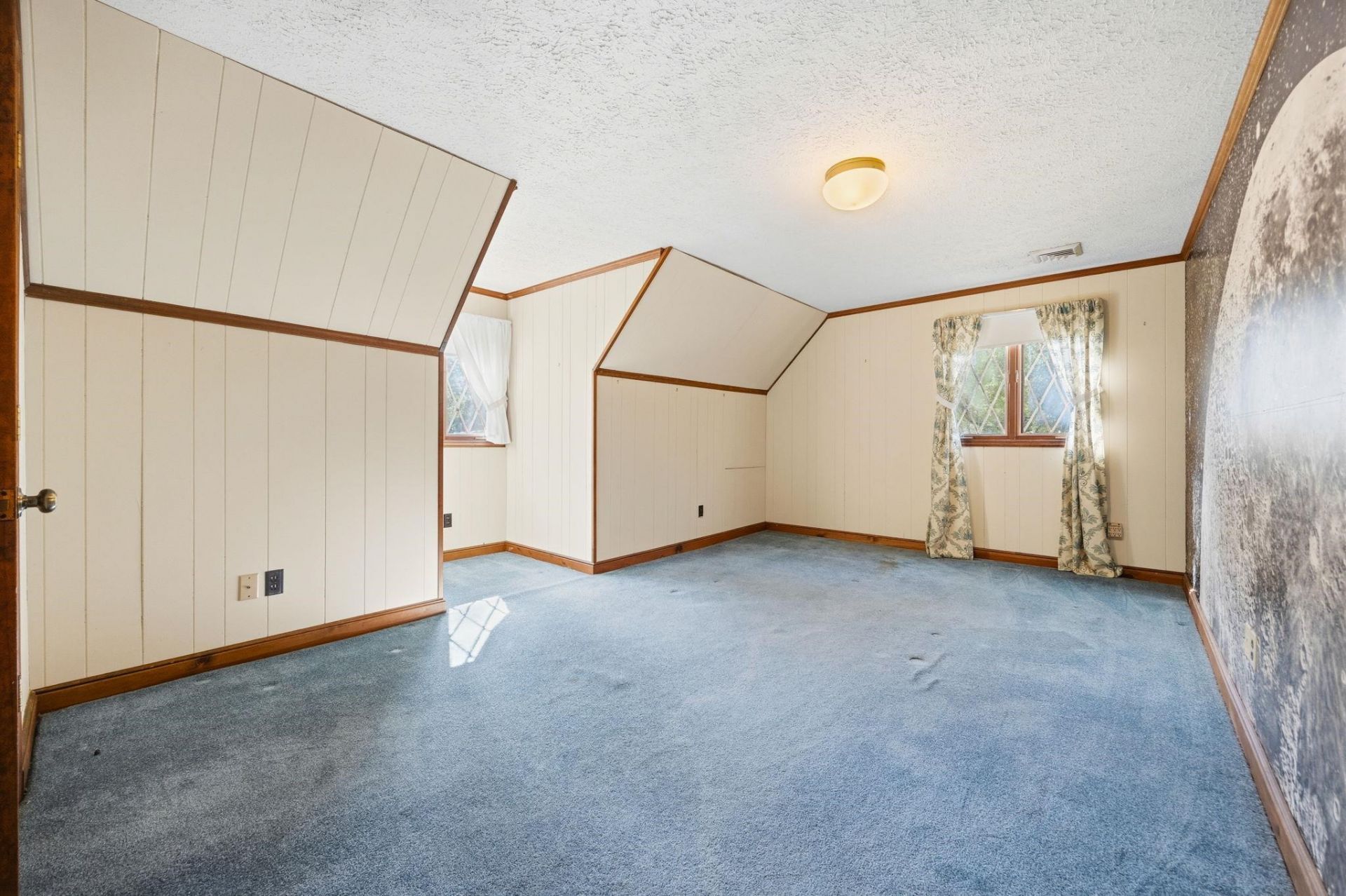 4904 Yaupon Dr. Photo 29