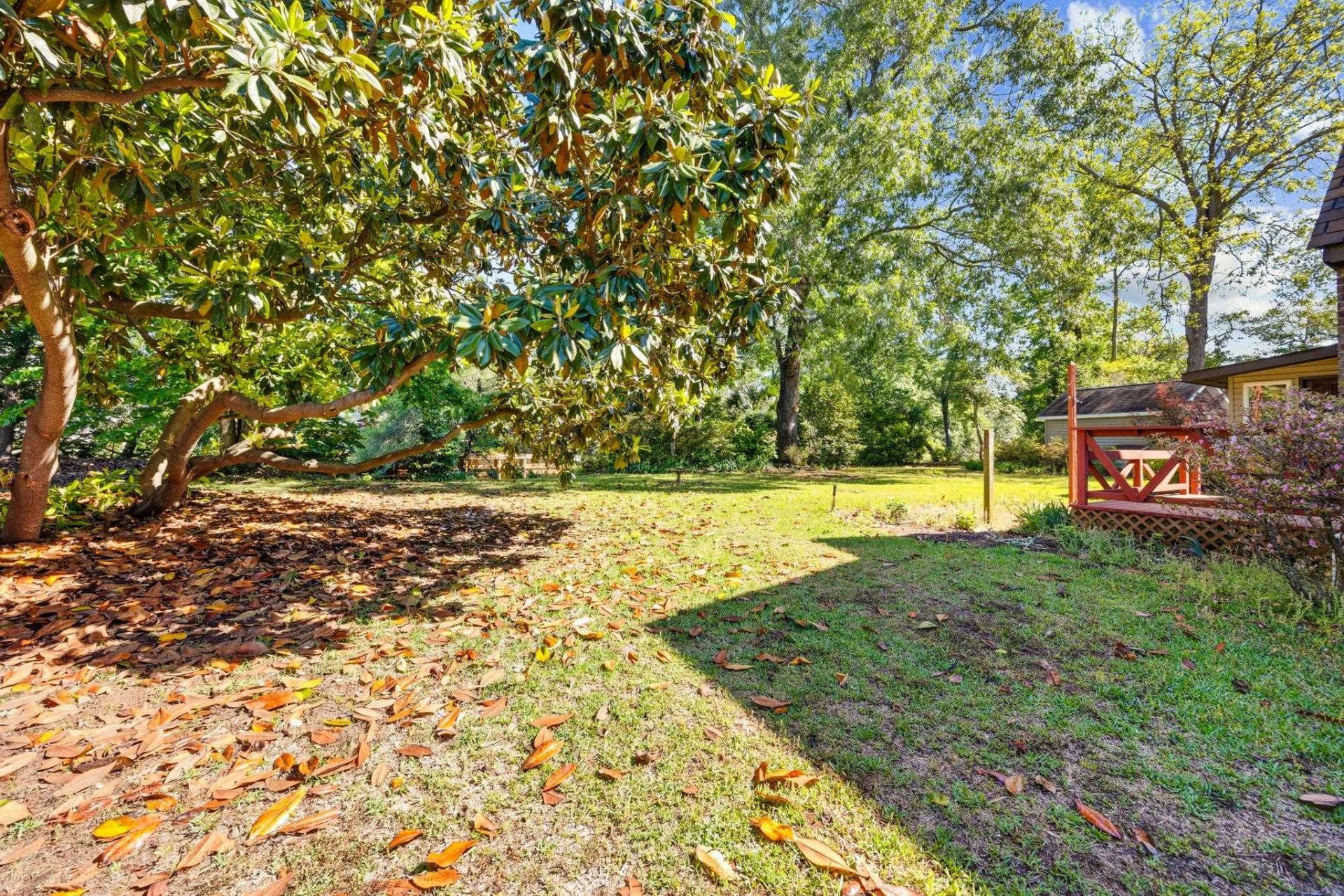 4904 Yaupon Dr. Photo 37