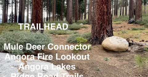 914 Brush Road, South Lake Tahoe, CA 96150 Photo
