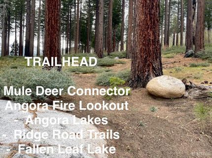 914 Brush Road, South Lake Tahoe, CA 96150 Photo