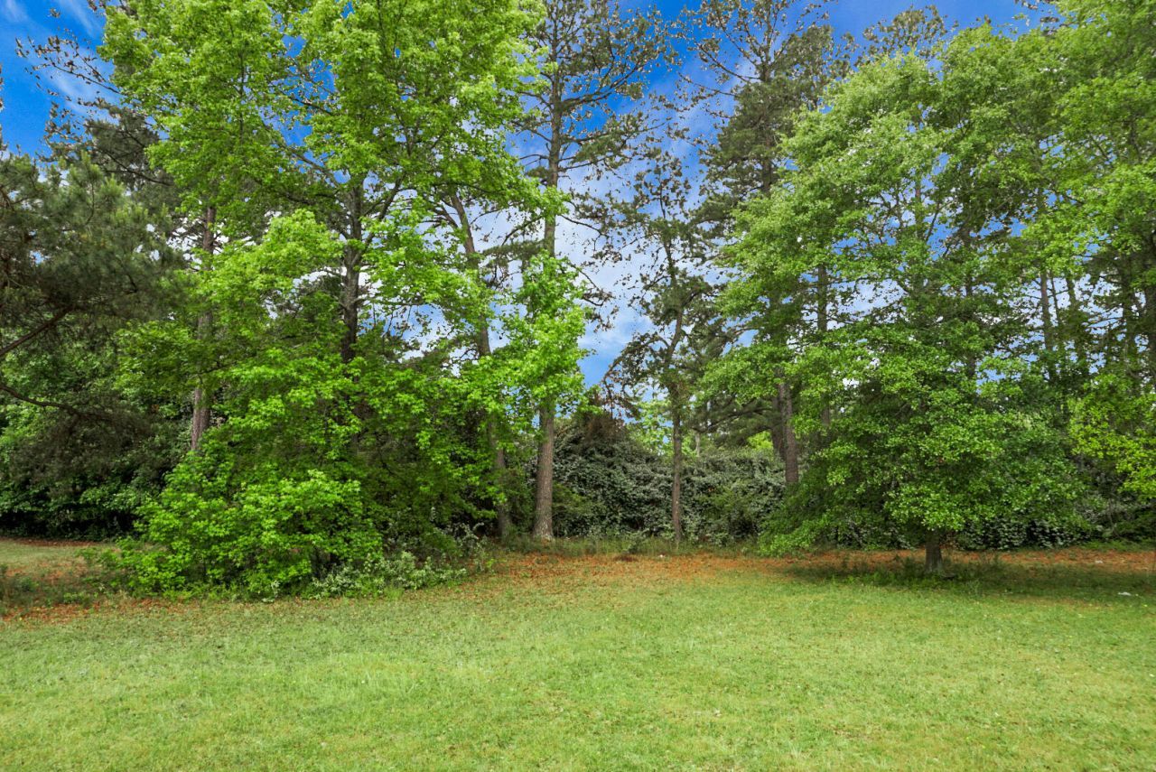 164 Airy Hall Drive Photo 47