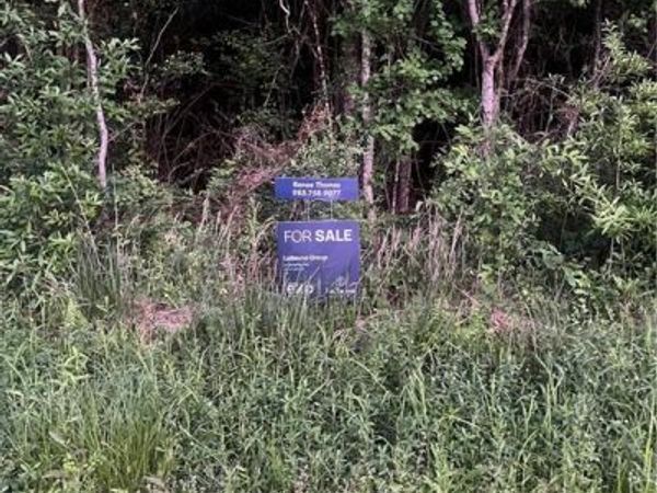 CHAPMAN Drive , Abita Springs, LA 70420