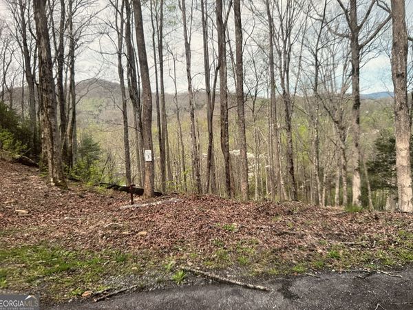 LOT 3 Buckhead Hills, Hiawassee, GA 30546