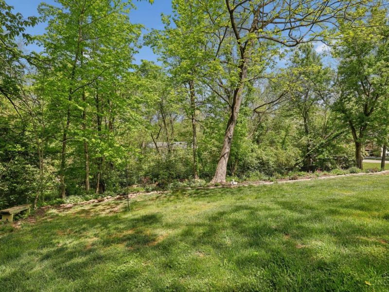6242 Davon Court, Miami Twp, OH 45140 Photo 54