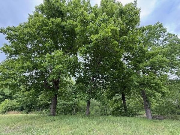0 OLD HWY 72 HWY, Ashland, MS 38603