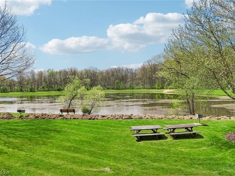2221 Olde Farm Lane, Hudson, OH 44236 Photo 47