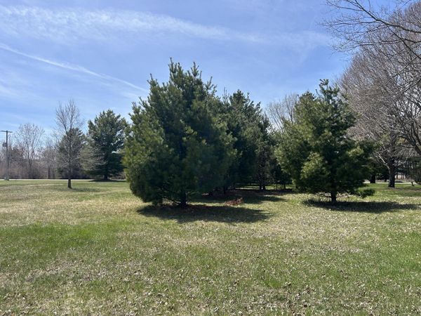Lot 30 Vaughn Trail, Oscoda, MI 48750