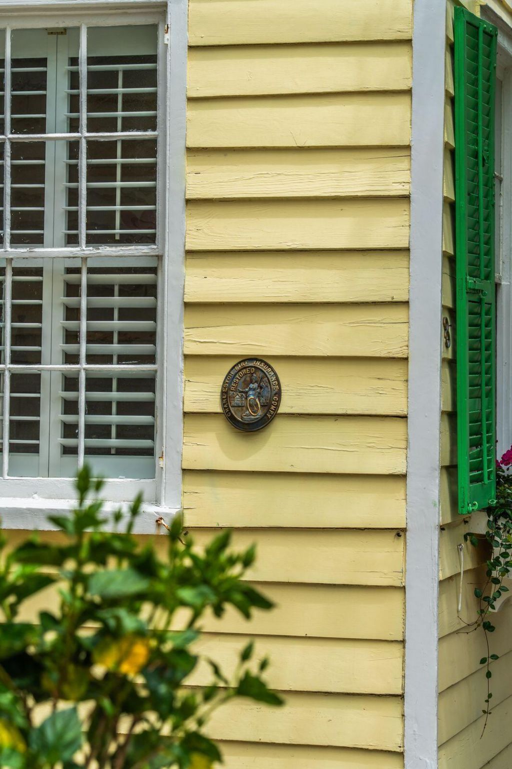 8 Trumbo Street Photo 11