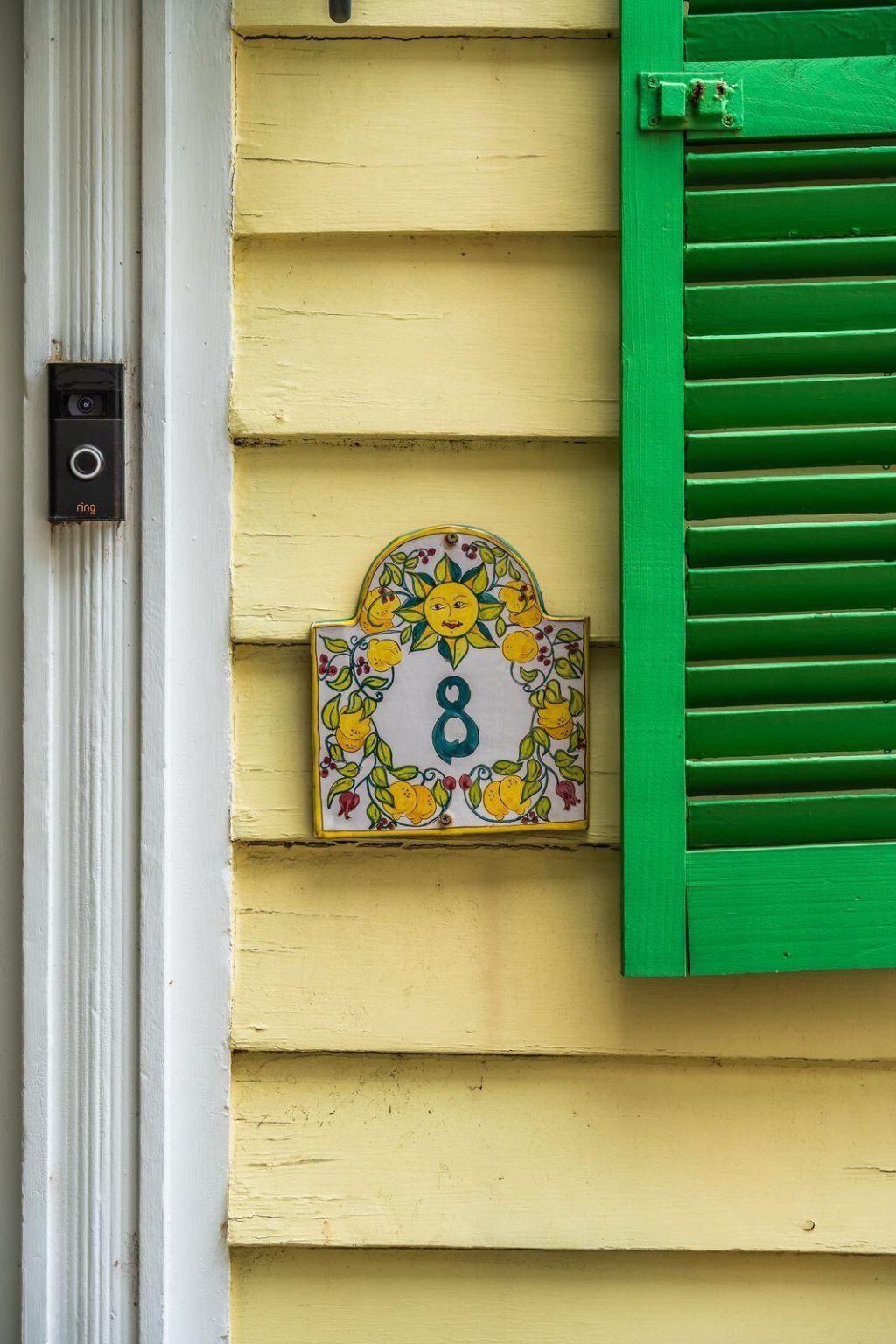 8 Trumbo Street Photo 17