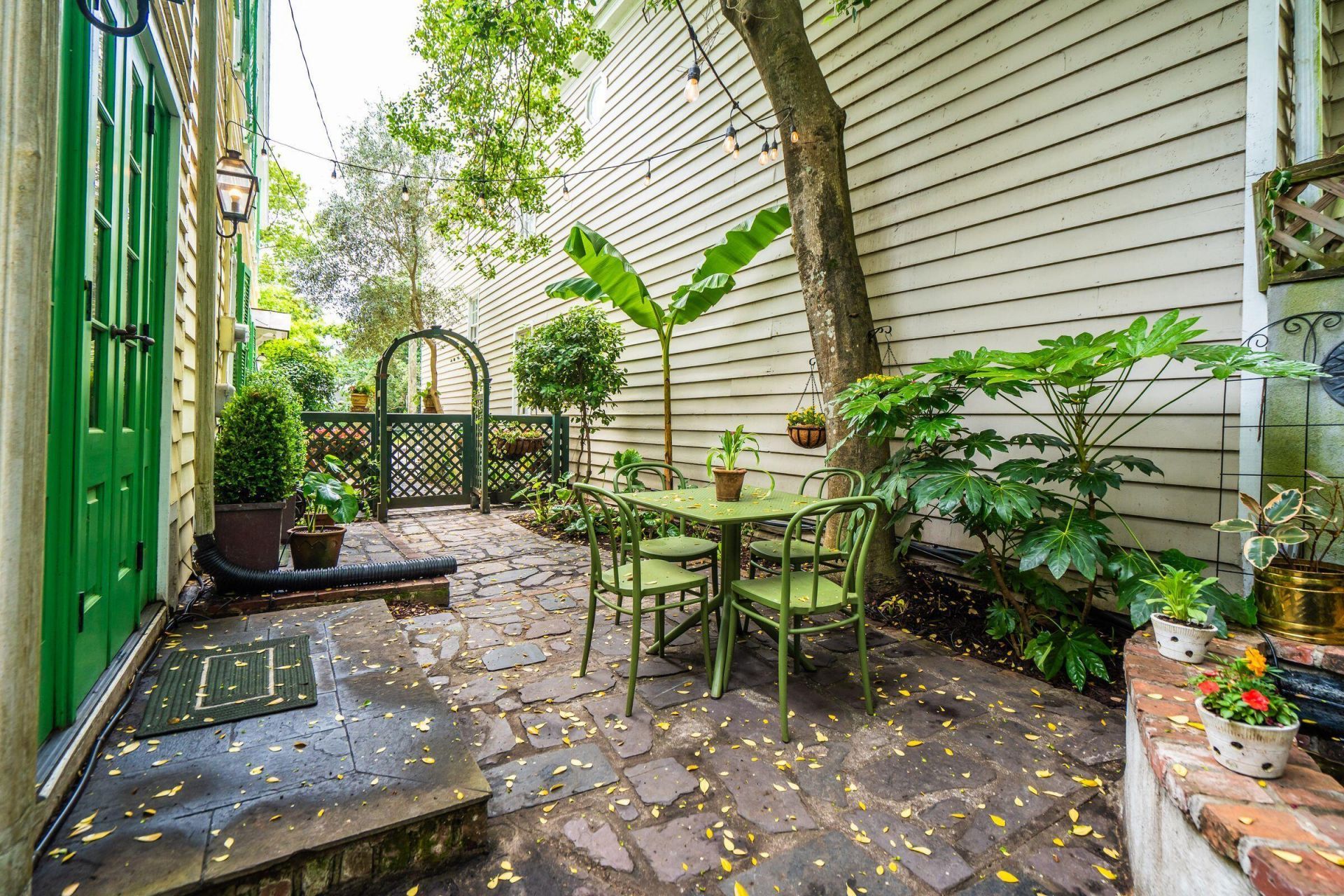 8 Trumbo Street Photo 66