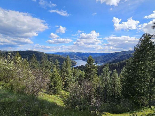 TBD Lynx Lane, Lenore, ID 83541