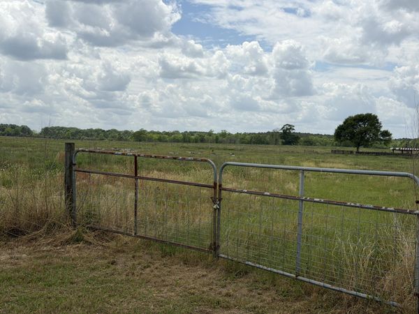 12 Acres Good Hill Rd., Lumberton, MS 39455