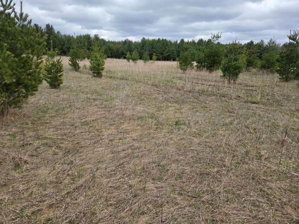 TBD 450th St - Parcel B, Laporte, MN 56461
