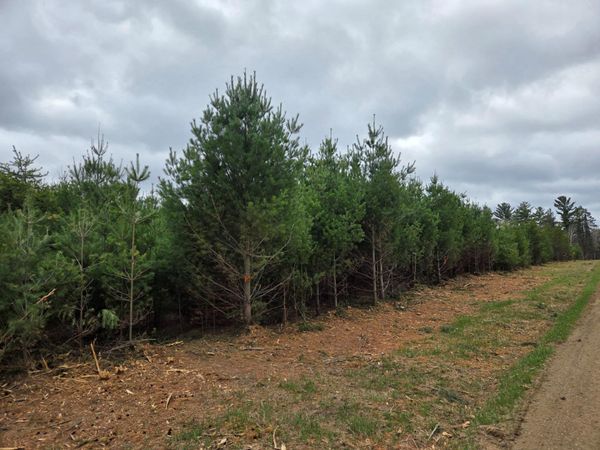 TBD 450th St - Parcel A, Laporte, MN 56461