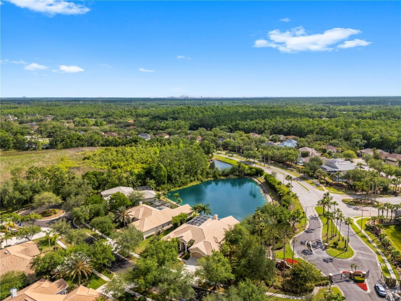 17206 Talence Court, Tampa, FL 33647 Photo