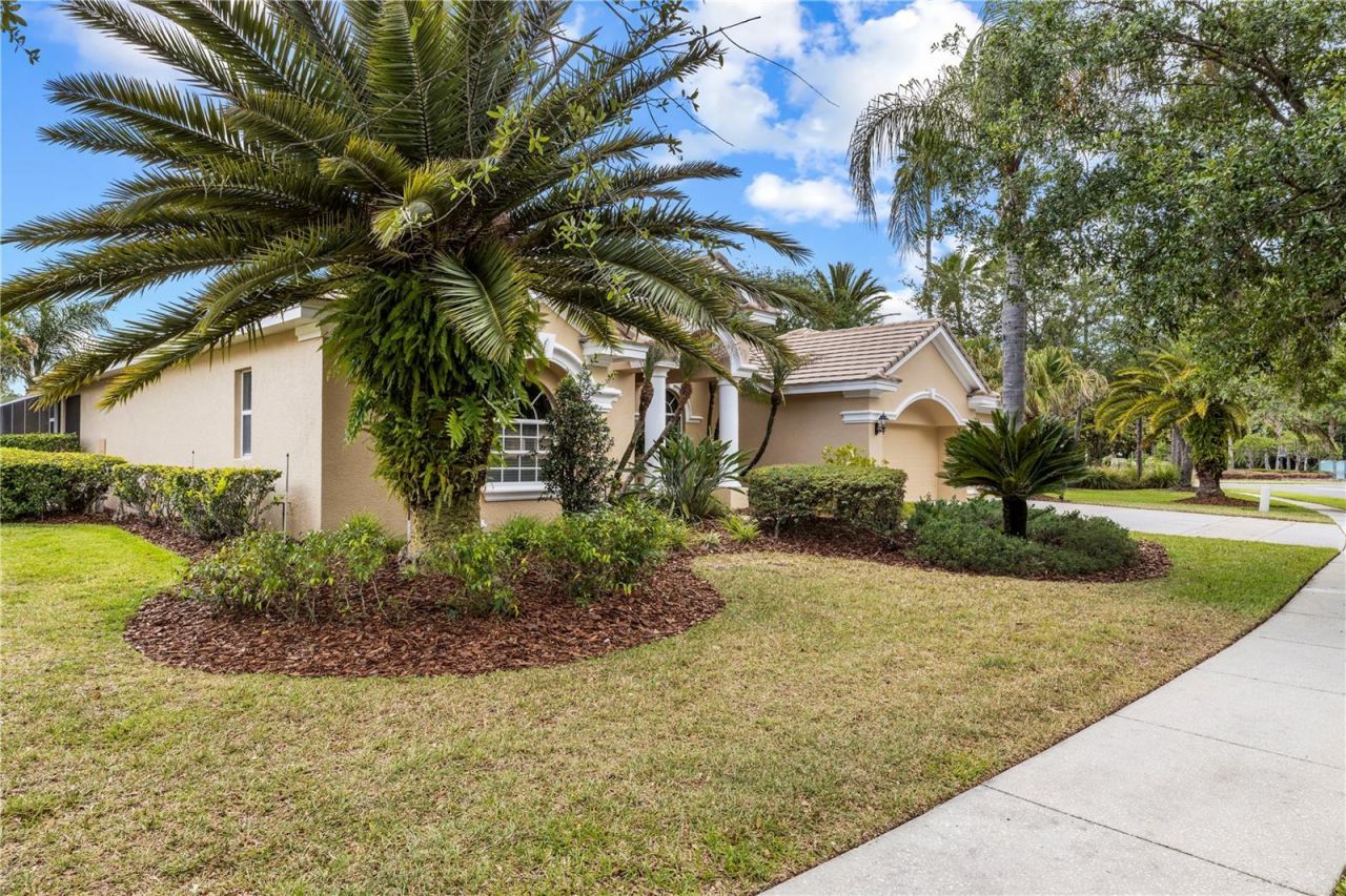 17206 Talence Court, Tampa, FL 33647 Photo