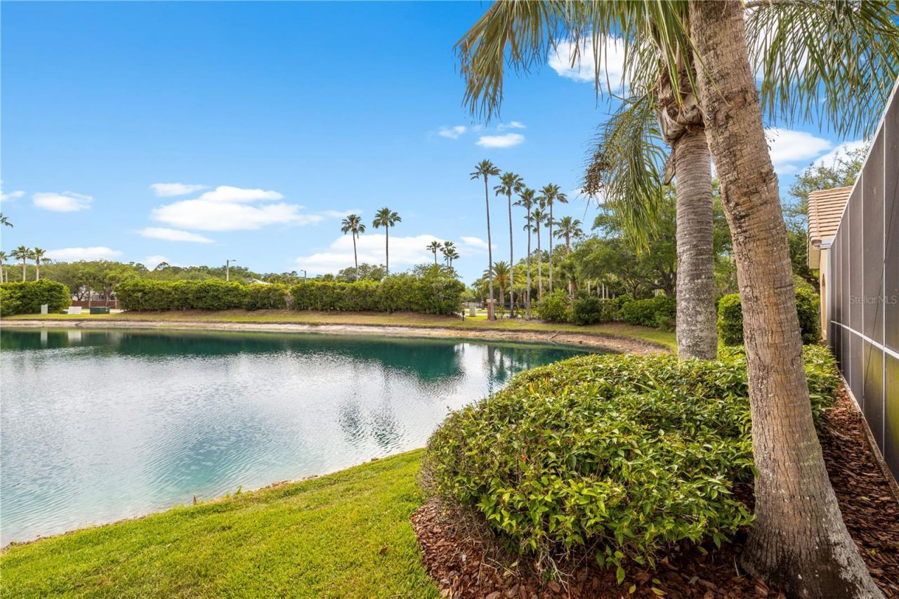 17206 Talence Court, Tampa, FL 33647 Photo