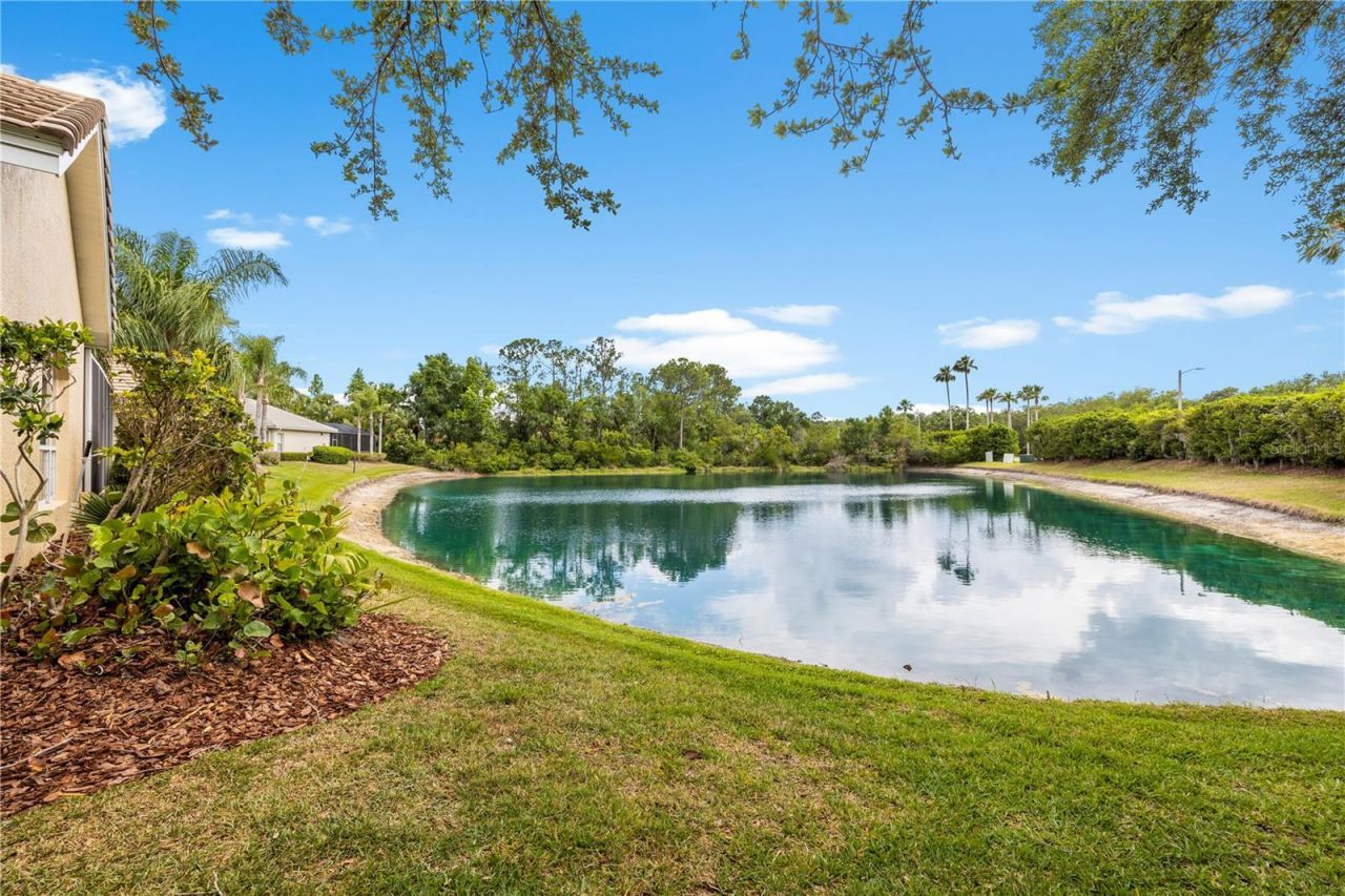 17206 Talence Court, Tampa, FL 33647 Photo