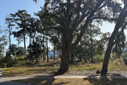 225 Vinson Road photo 4
