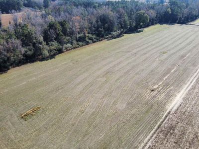 TBD Highway 917, Nichols, SC 29581