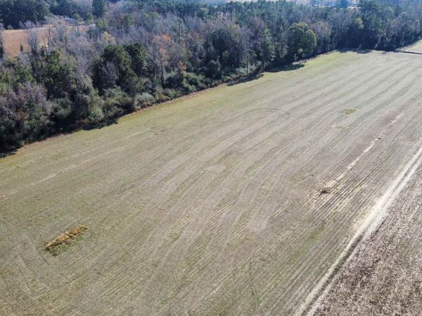 TBD Highway 917, Nichols, SC 29581