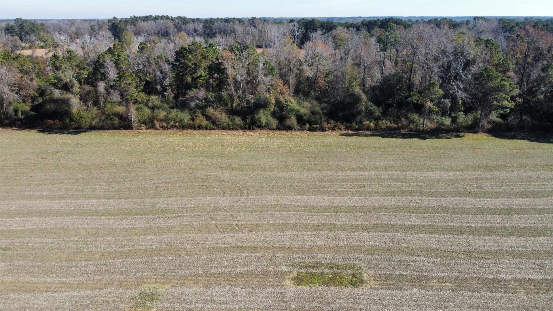 Tbd Highway 917 Photo 11