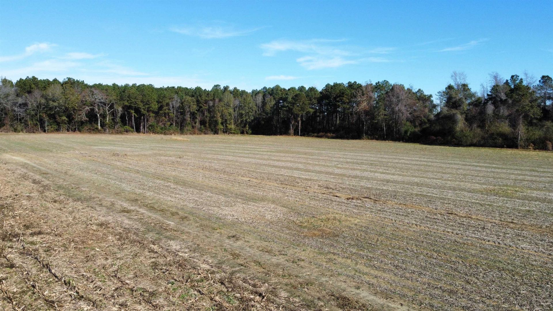 Tbd Highway 917 Photo 13