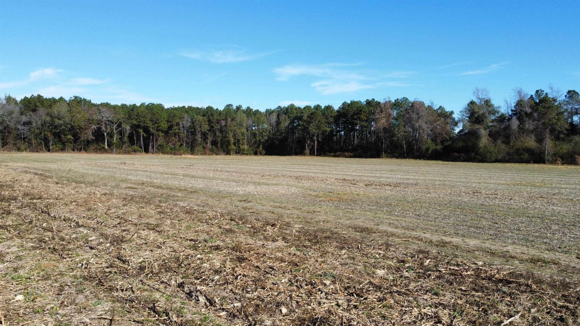 Tbd Highway 917 Photo 14