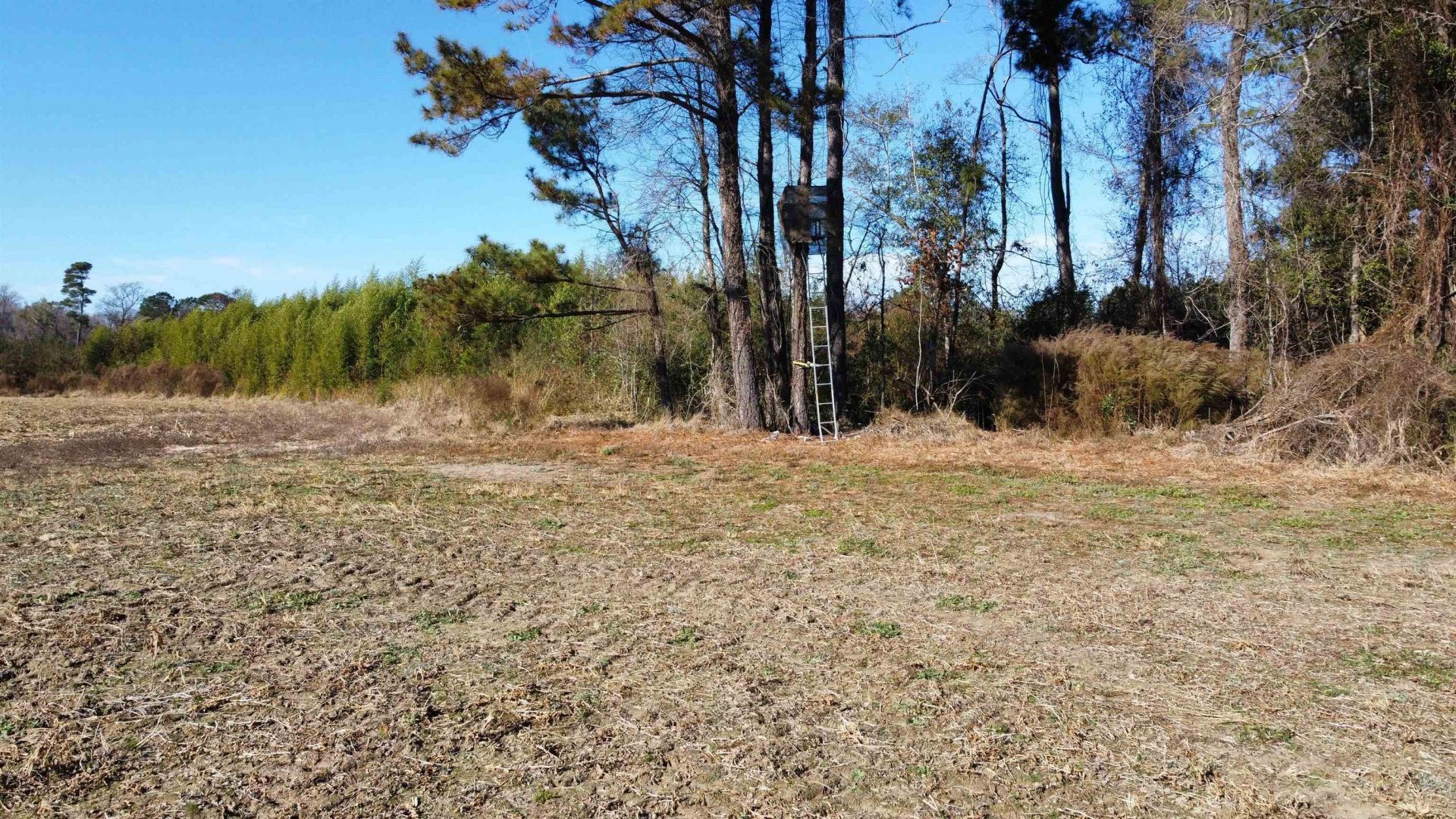 Tbd Highway 917 Photo 19