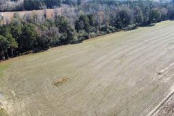 Tbd Highway 917 photo 4
