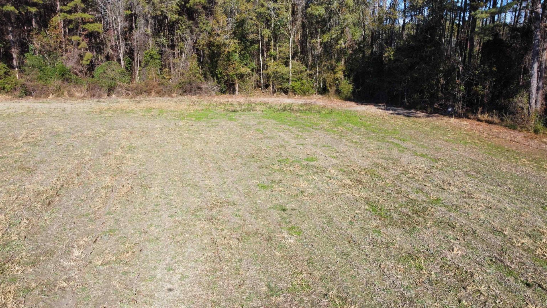 Tbd Highway 917 Photo 20