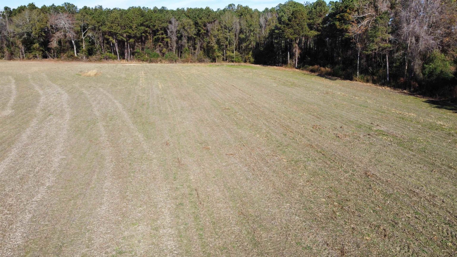 Tbd Highway 917 Photo 21