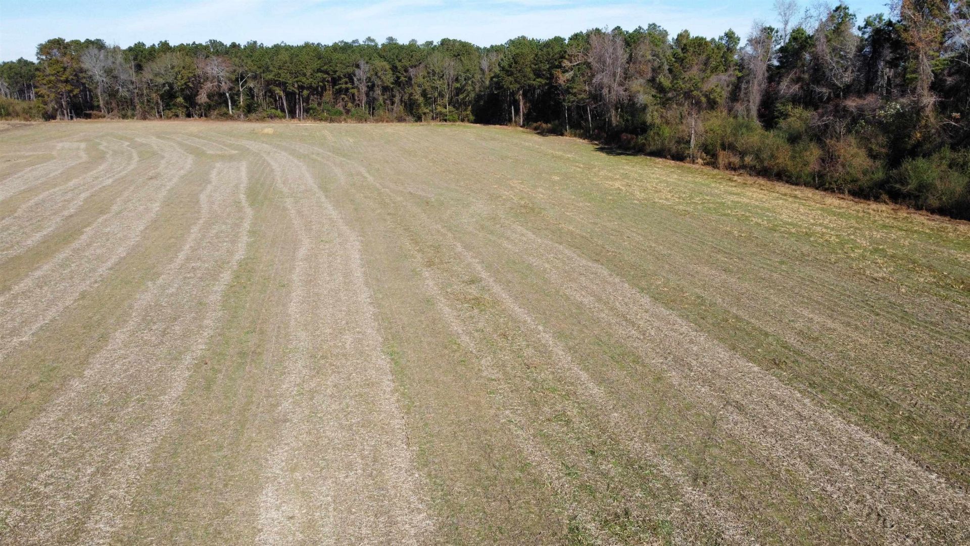 Tbd Highway 917 Photo 22