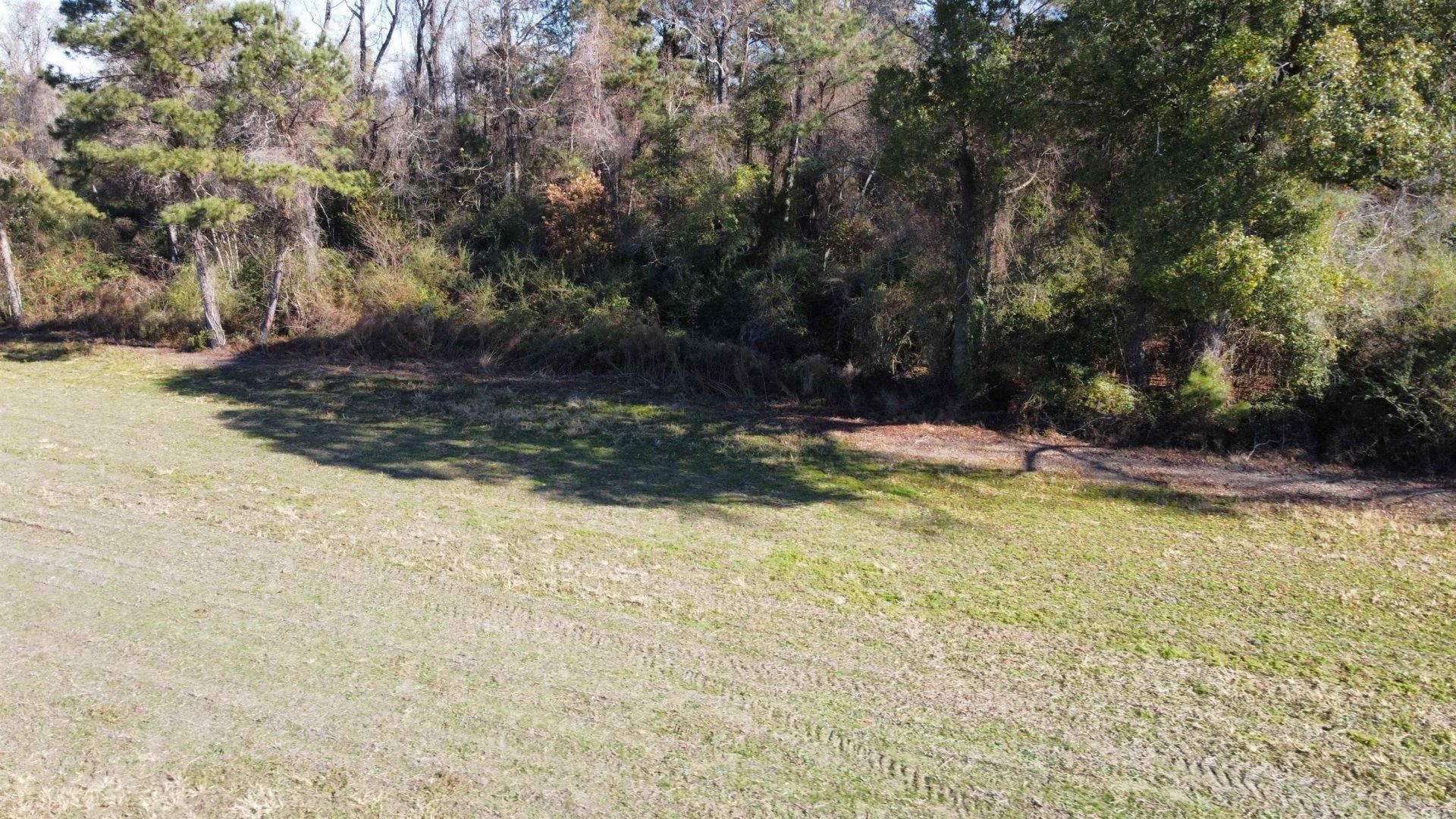 Tbd Highway 917 Photo 23