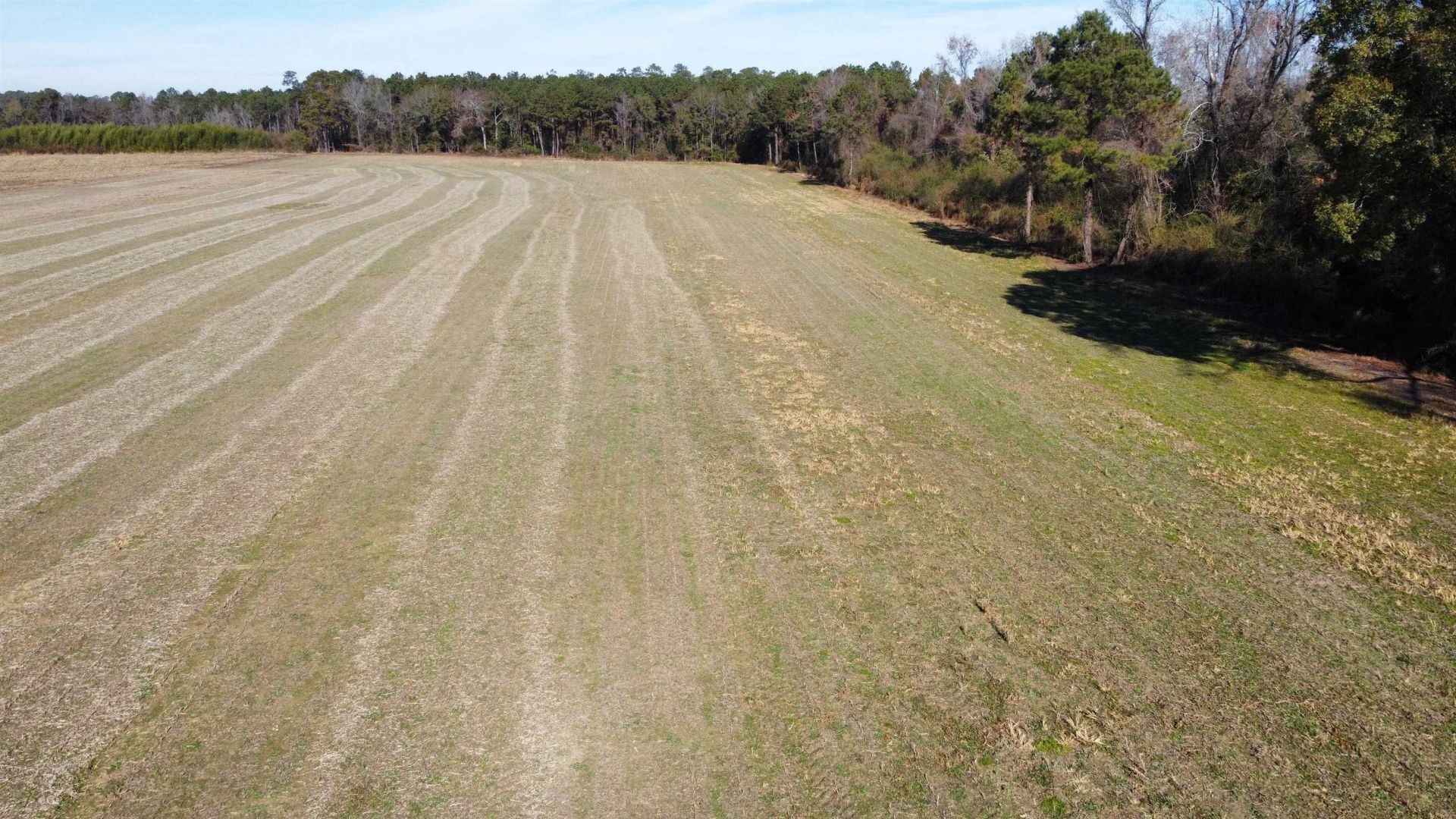Tbd Highway 917 Photo 24