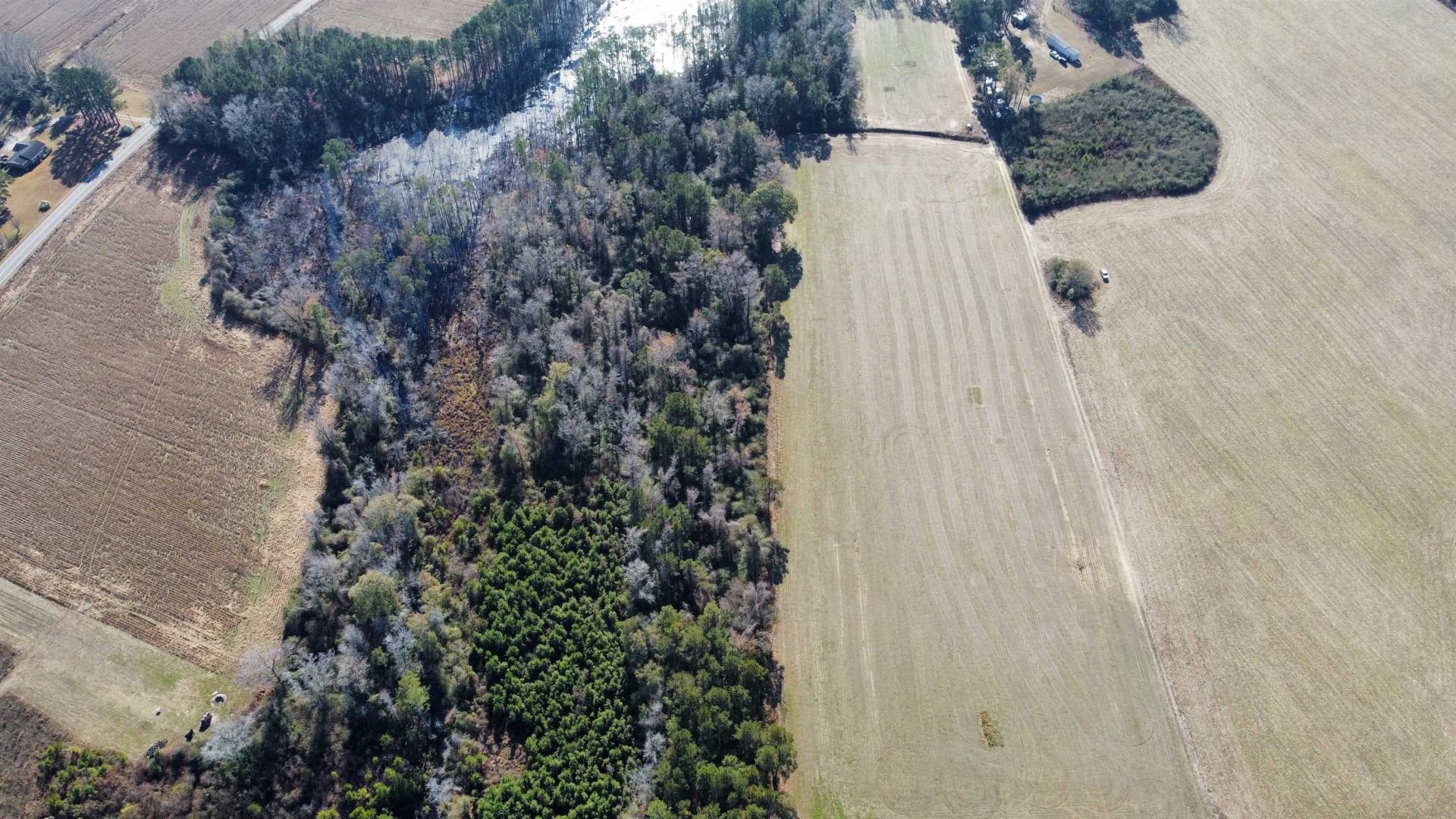 Tbd Highway 917 Photo 28