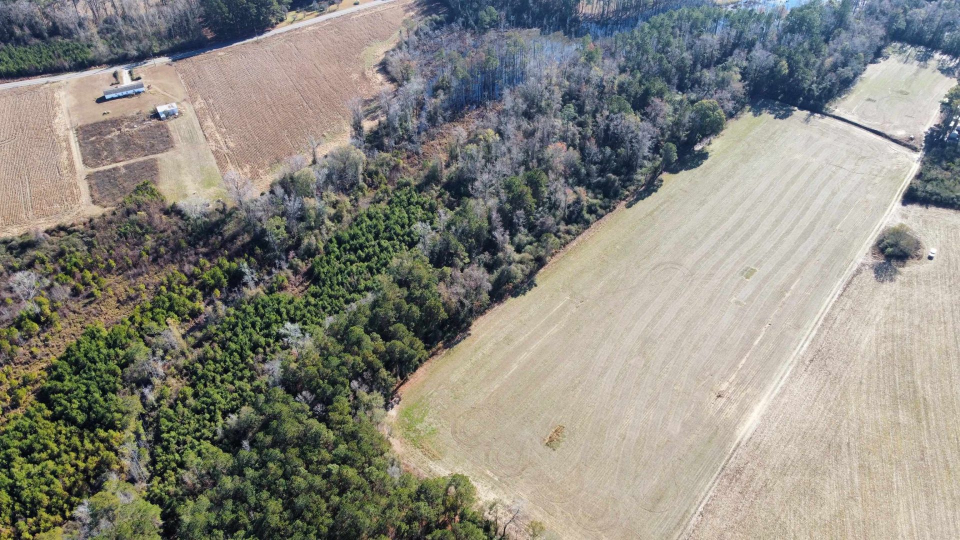 Tbd Highway 917 Photo 29