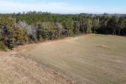 Tbd Highway 917 photo 4