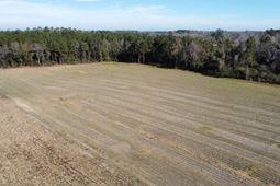 Tbd Highway 917 photo 4