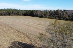 Tbd Highway 917 photo 4