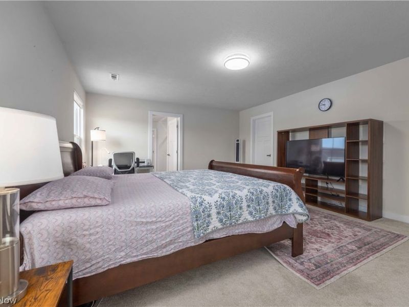 23427 Daisey Drive, Columbia Station, OH 44028 Photo 19