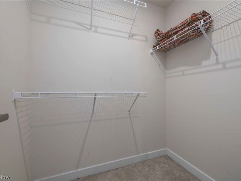 23427 Daisey Drive, Columbia Station, OH 44028 Photo 23